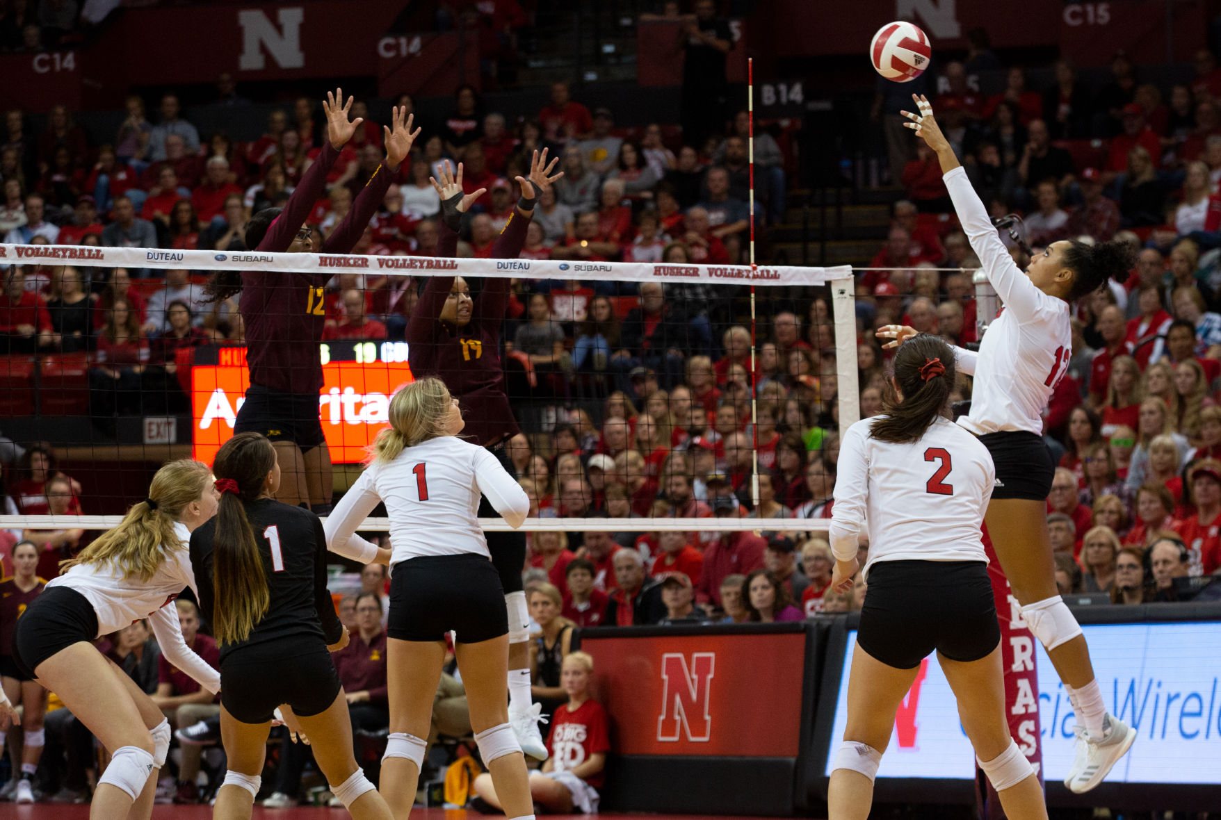 Volleyball vs. Minnesota Photo No. 5